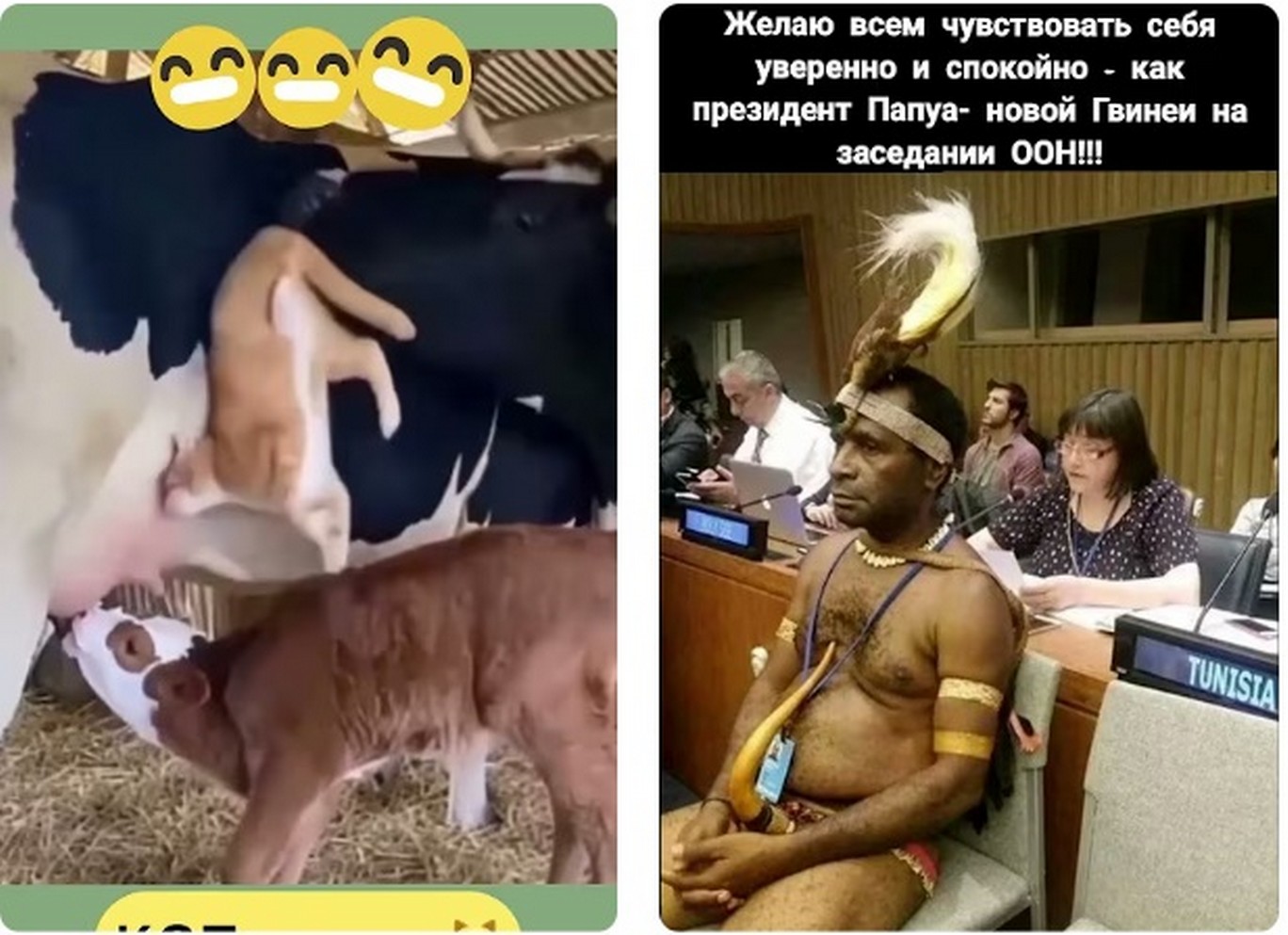 Как проверить сайт на оригинальность в 2026 году?
